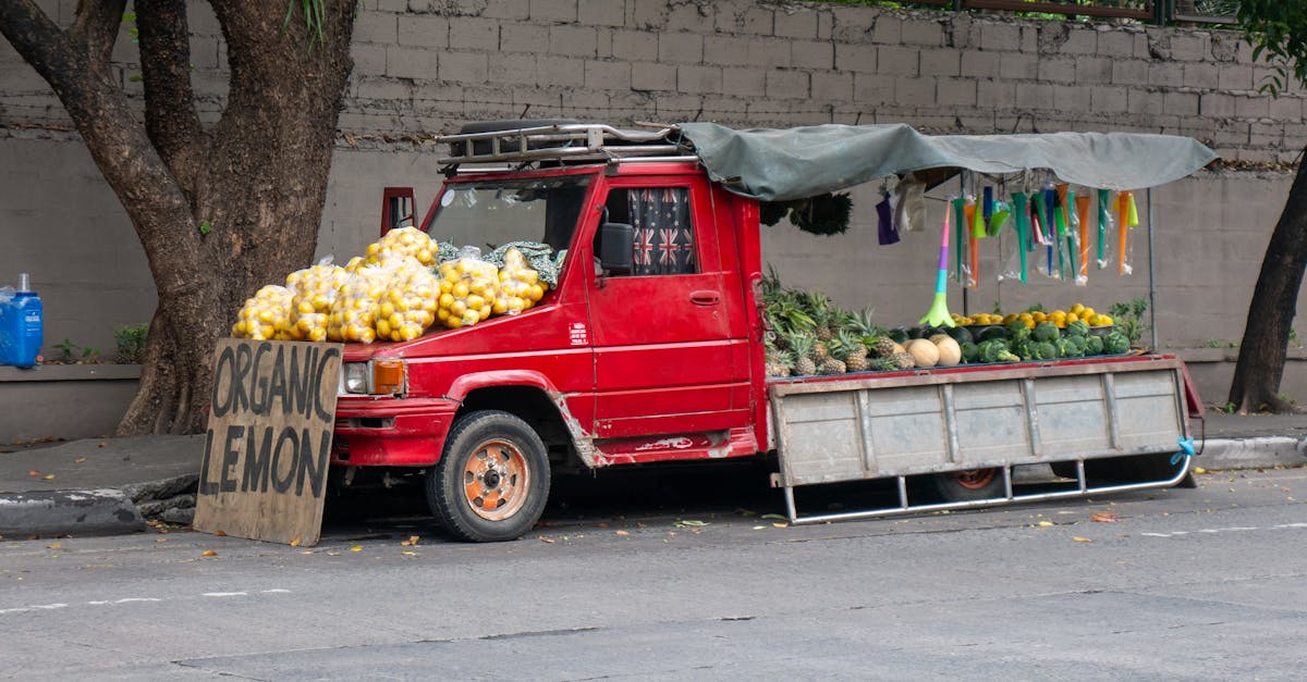 découvrez comment l'entrepreneuriat durable révolutionne le monde des affaires. apprenez des pratiques innovantes pour allier profitabilité et respect de l'environnement tout en contribuant à une économie plus verte.