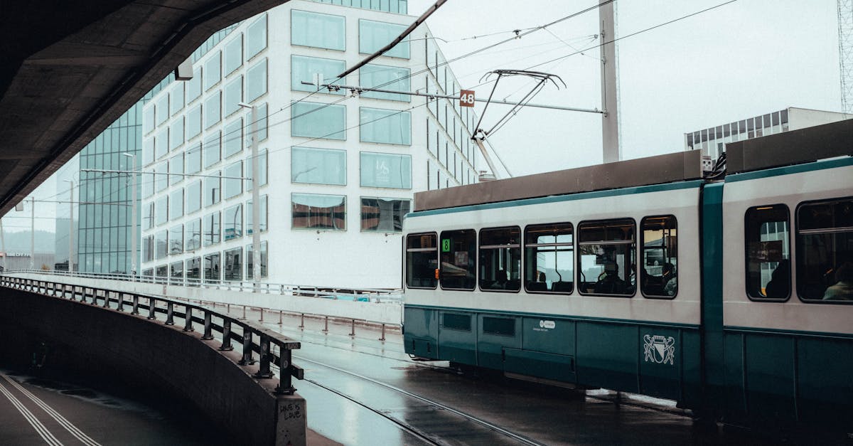 découvrez des stratégies durables innovantes pour protéger notre planète et favoriser un avenir écologique. apprenez comment les entreprises, les gouvernements et les individus peuvent mettre en œuvre des pratiques responsables pour réduire leur impact environnemental, optimiser les ressources et promouvoir le développement durable.