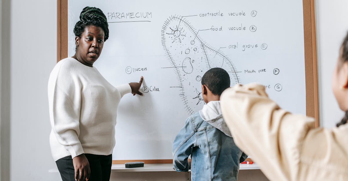 découvrez les défis académiques majeurs auxquels les étudiants sont confrontés, tels que la gestion du temps, le stress des examens et les difficultés d'apprentissage, ainsi que des stratégies efficaces pour les surmonter et réussir dans leur parcours éducatif.