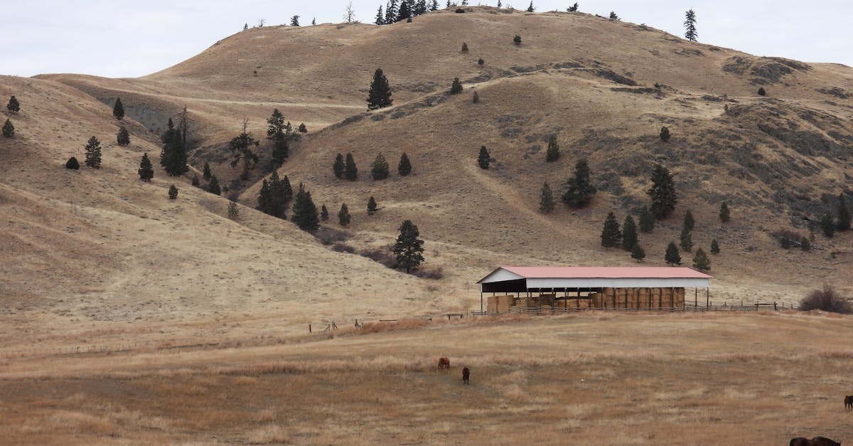 découvrez l'univers des link farms, ces réseaux de sites interconnectés favorisant le référencement. apprenez leurs secrets, les risques associés et comment naviguer dans le paysage du seo avec sagesse.