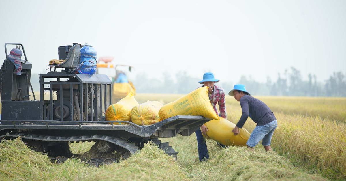 découvrez comment surmonter les pénalités liées aux link farms et récupérez votre positionnement dans les moteurs de recherche. apprenez des stratégies efficaces pour améliorer votre référencement et restaurer la crédibilité de votre site.