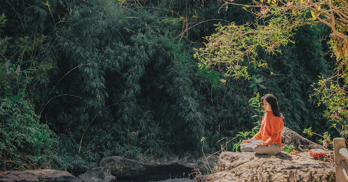 découvrez la méditation, une pratique ancestrale qui favorise la relaxation, la concentration et le bien-être. apprenez des techniques simples pour apaiser votre esprit, réduire le stress et améliorer votre qualité de vie au quotidien.