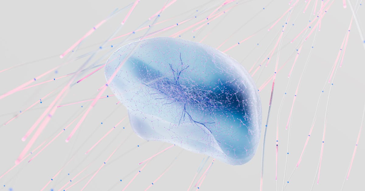 découvrez l'univers fascinant de la neuroscience, une discipline qui étudie le système nerveux et le cerveau humain. explorez comment cette science révolutionne notre compréhension du comportement, des émotions et des mécanismes de la pensée.