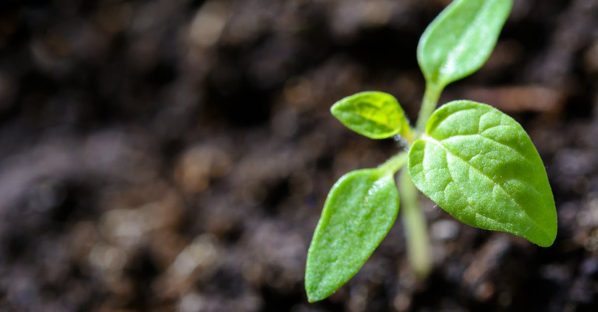 découvrez l'importance de la durabilité et comment elle influence nos choix quotidiens. apprenez à adopter des pratiques respectueuses de l'environnement pour un avenir plus durable.