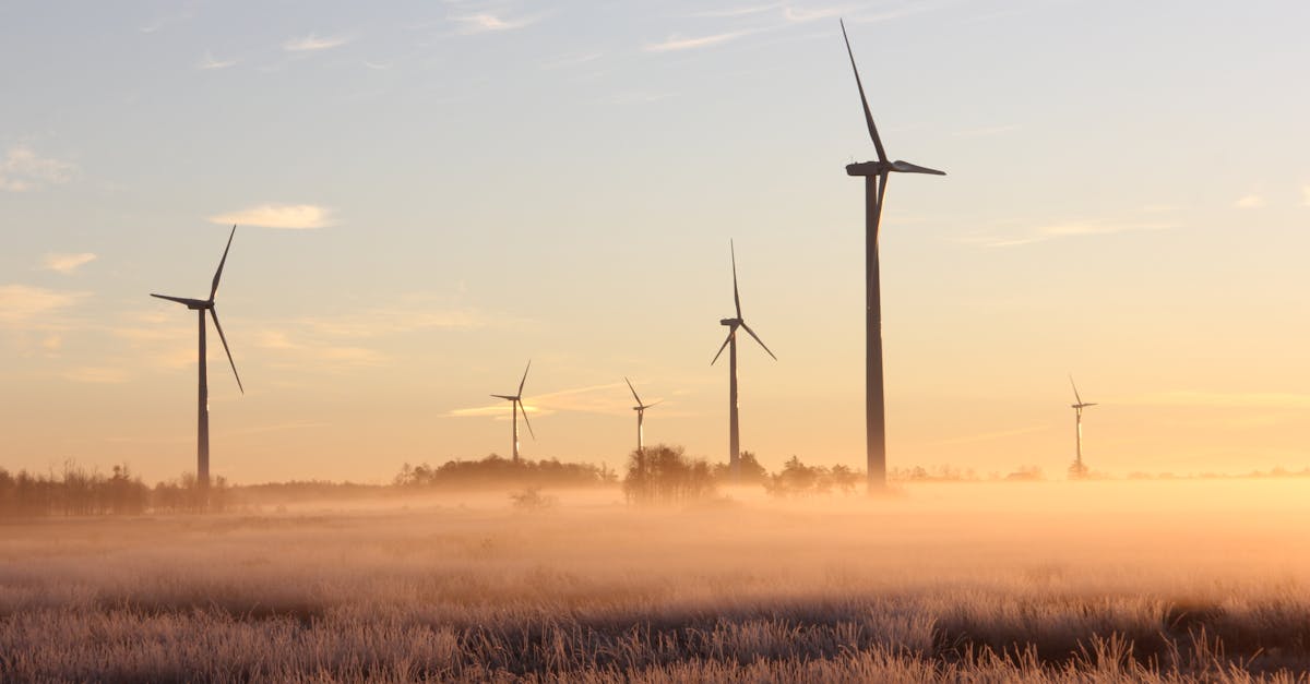 découvrez comment la durabilité transforme notre rapport à la planète, en intégrant des pratiques écologiques et des solutions innovantes pour un avenir plus responsable et durable.