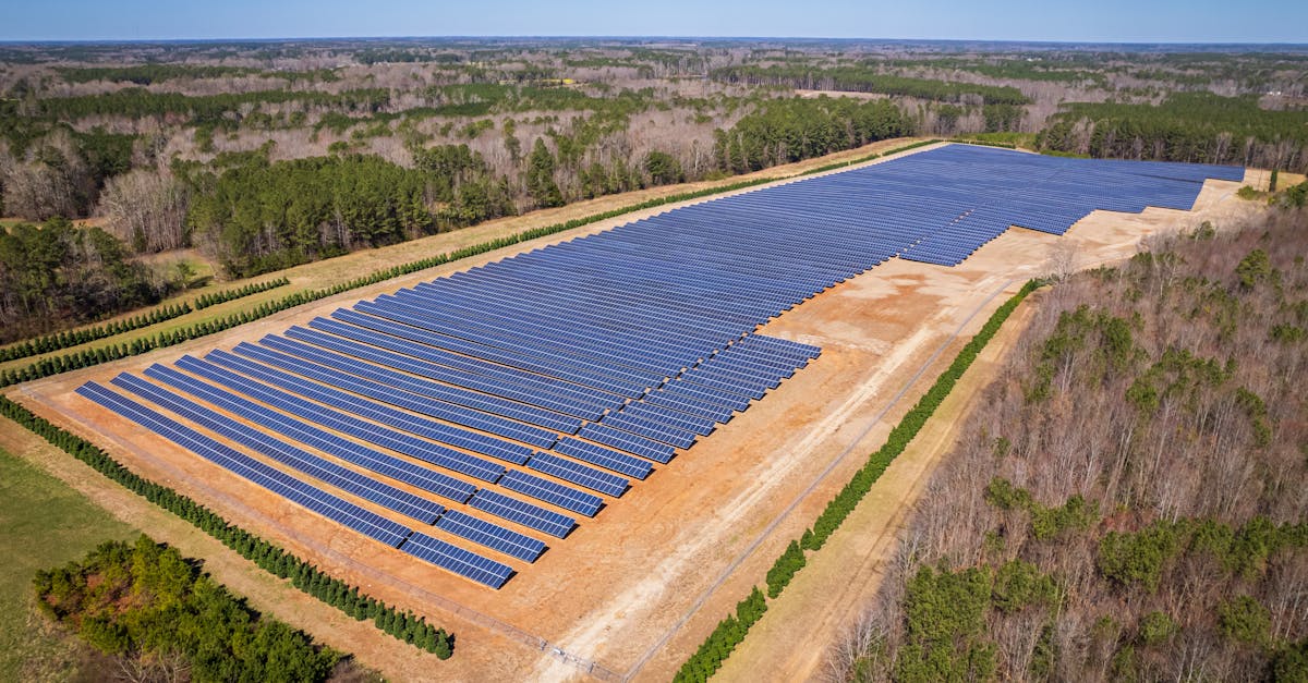 découvrez comment le développement durable transforme notre manière de vivre, de travailler et d'interagir avec notre planète. explorez des pratiques éthiques et responsables pour un avenir meilleur.